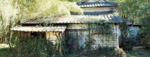 空き家運用の実態を探る