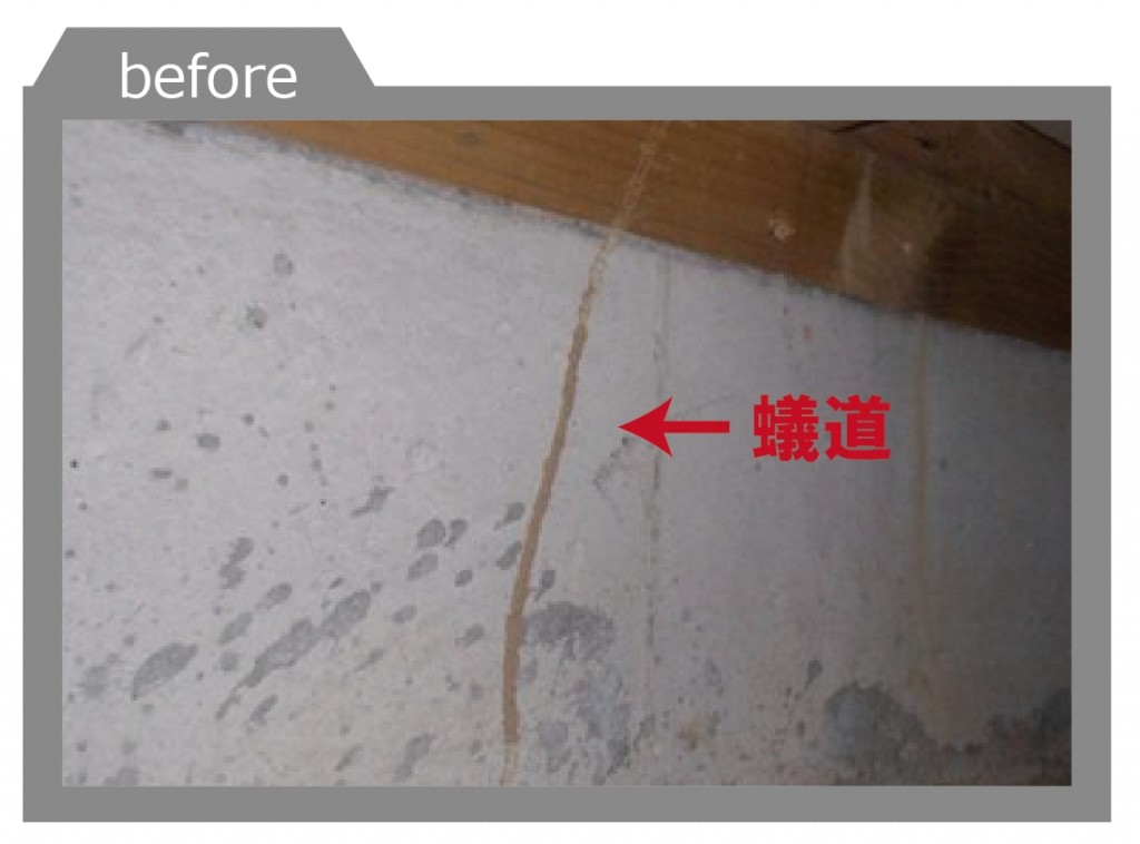 調査で発見された蟻道（シロアリの形跡）。シロアリ消毒を実施しました。 