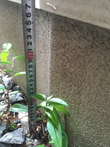 基礎高さ
