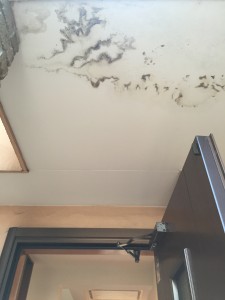 玄関ポーチ屋根のシミ