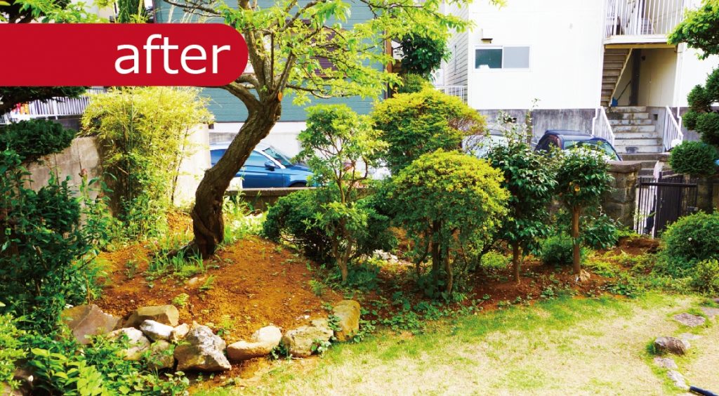築年数を経た中古物件ならではの植栽。