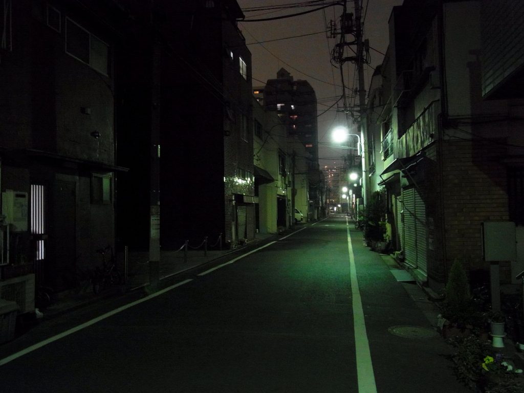 (昼と違って夜は暗い道も多いので注意が必要)